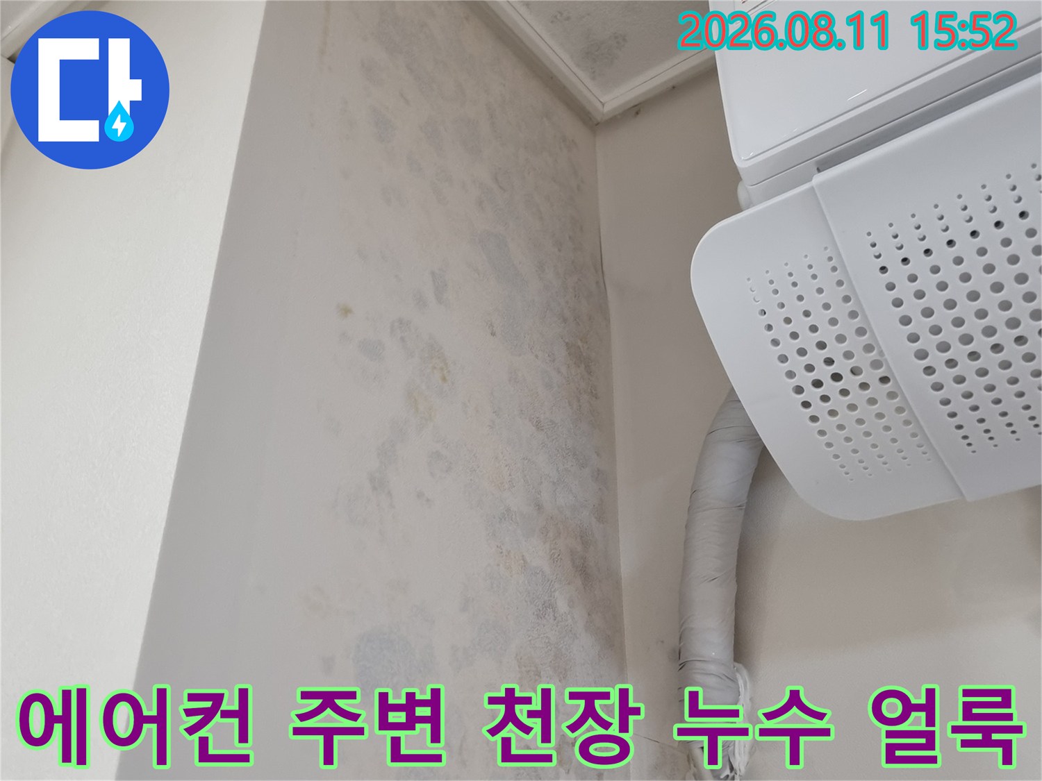 흰색 에어컨 실내기와 배관 아래쪽 천장에 푸른 곰팡이와 물얼룩이 광범위하게 퍼져 있는 모습