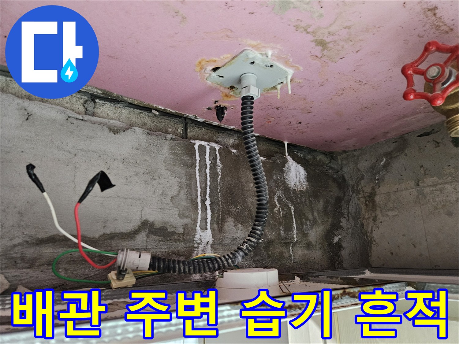 천장 내부 배관-누수로 인해 오염된 콘크리트 벽면