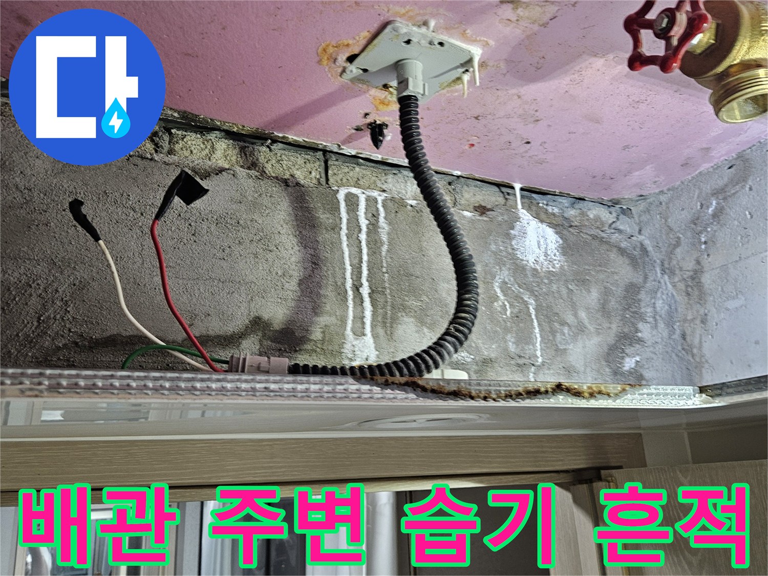 화장실-천장-내부-배관-주변의-습기와-오염-상태