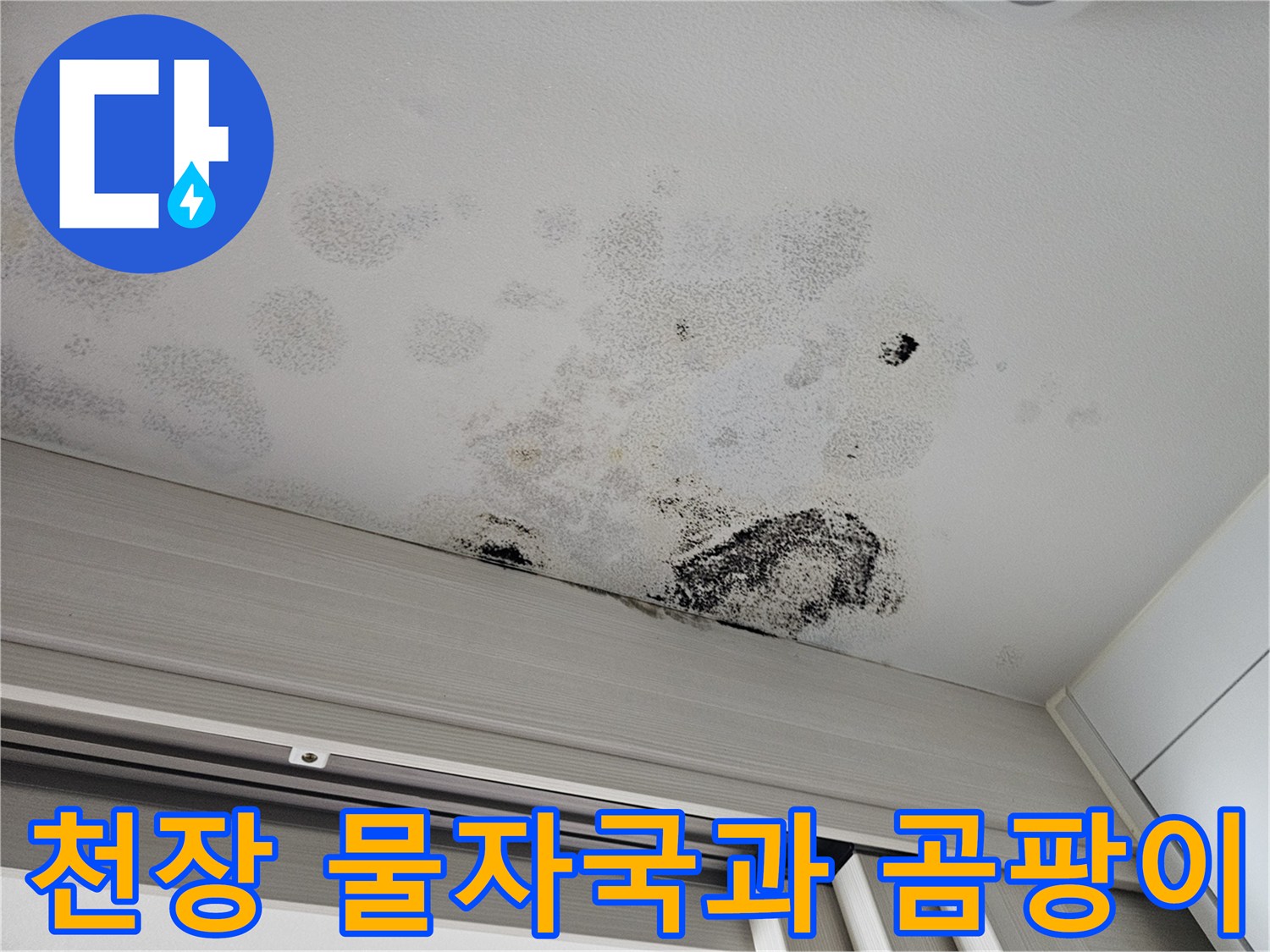 아파트-현관-천장-물자국-및-곰팡이-발생-현황