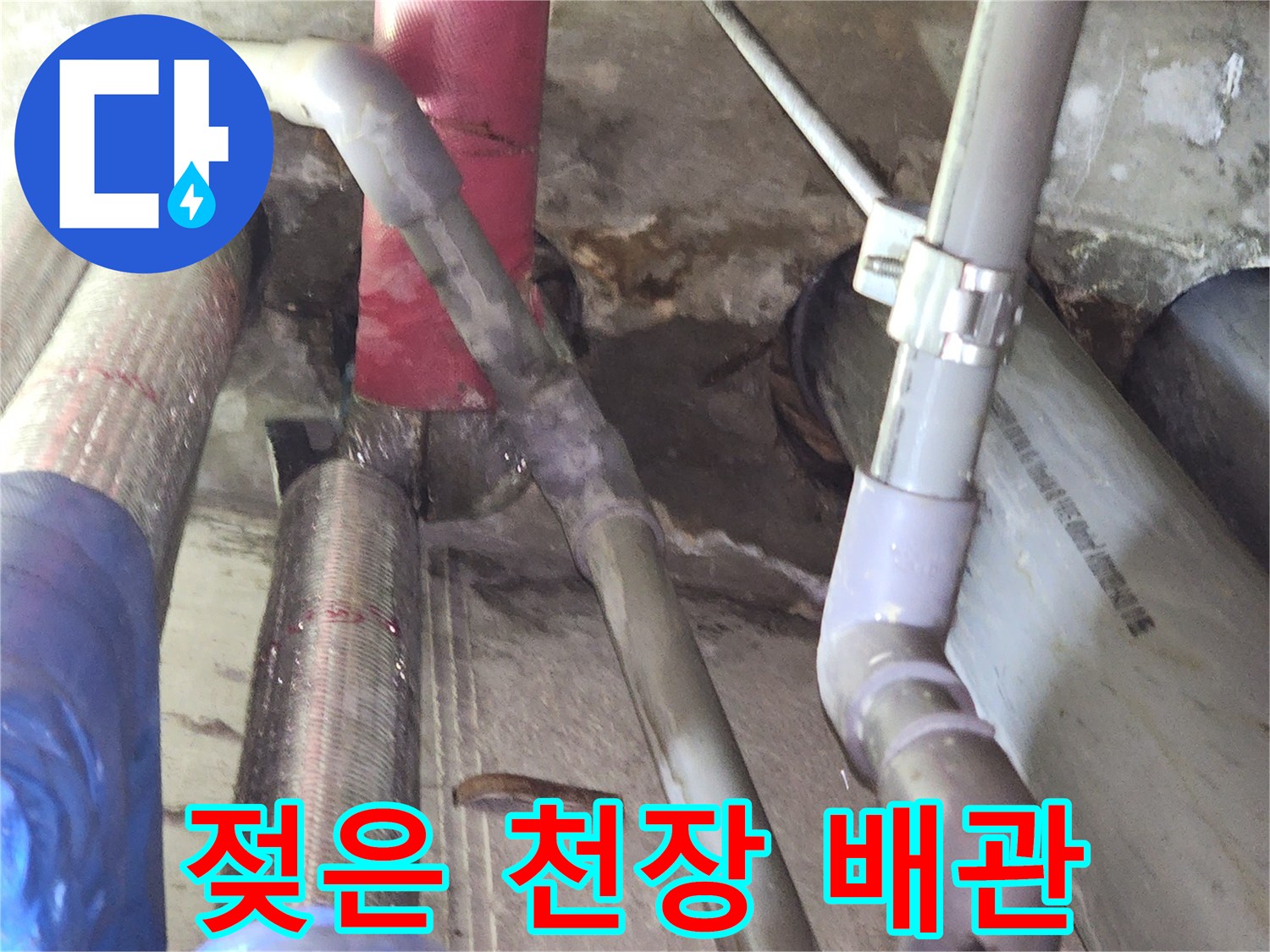 상동-현장-천장-배관-주변-습기-및-오염-상태