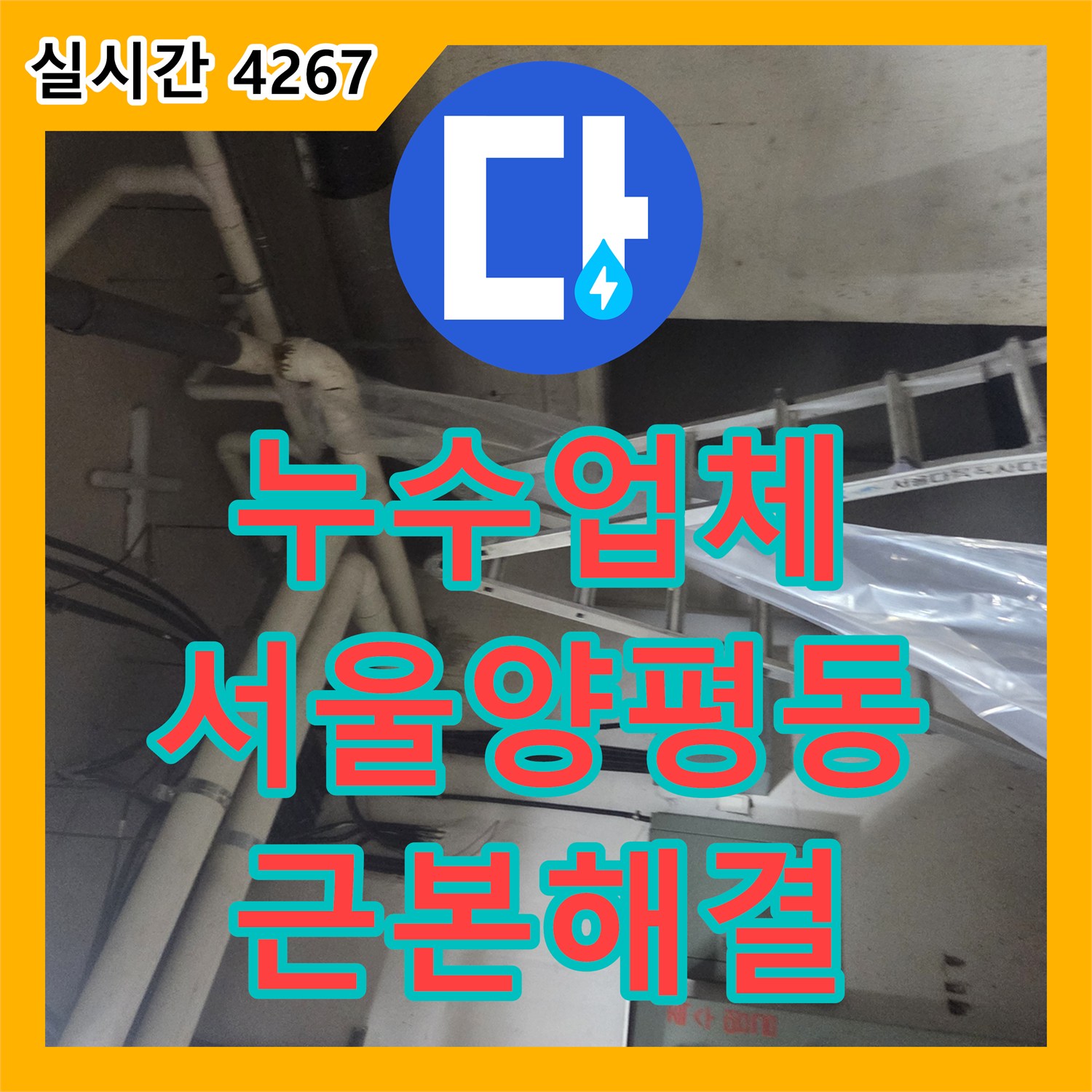누수업체 지하층 누수의 원인이 된 오수 메인 배관의 막힘을 고압 세척으로 해결한 서울 영등포구 양평동4가
