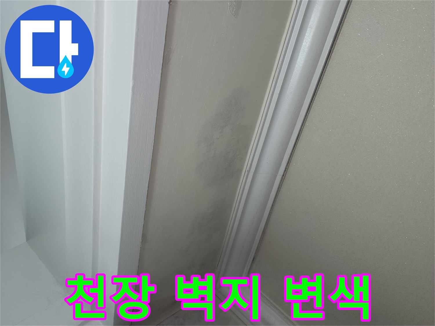 벽지-패턴-사이로-퍼진-어두운-물자국