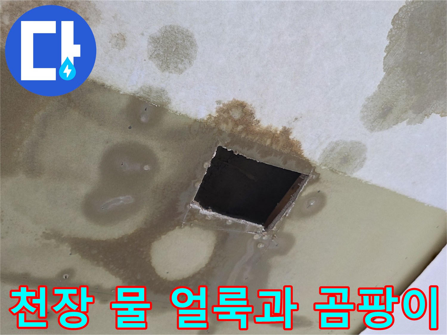 남양주 별내동 현장의-천장 물 얼룩 및 곰팡이 상태