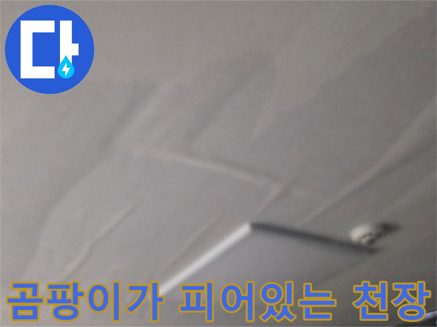 천장 마감재에 발생한 곰팡이와 습기 흔적