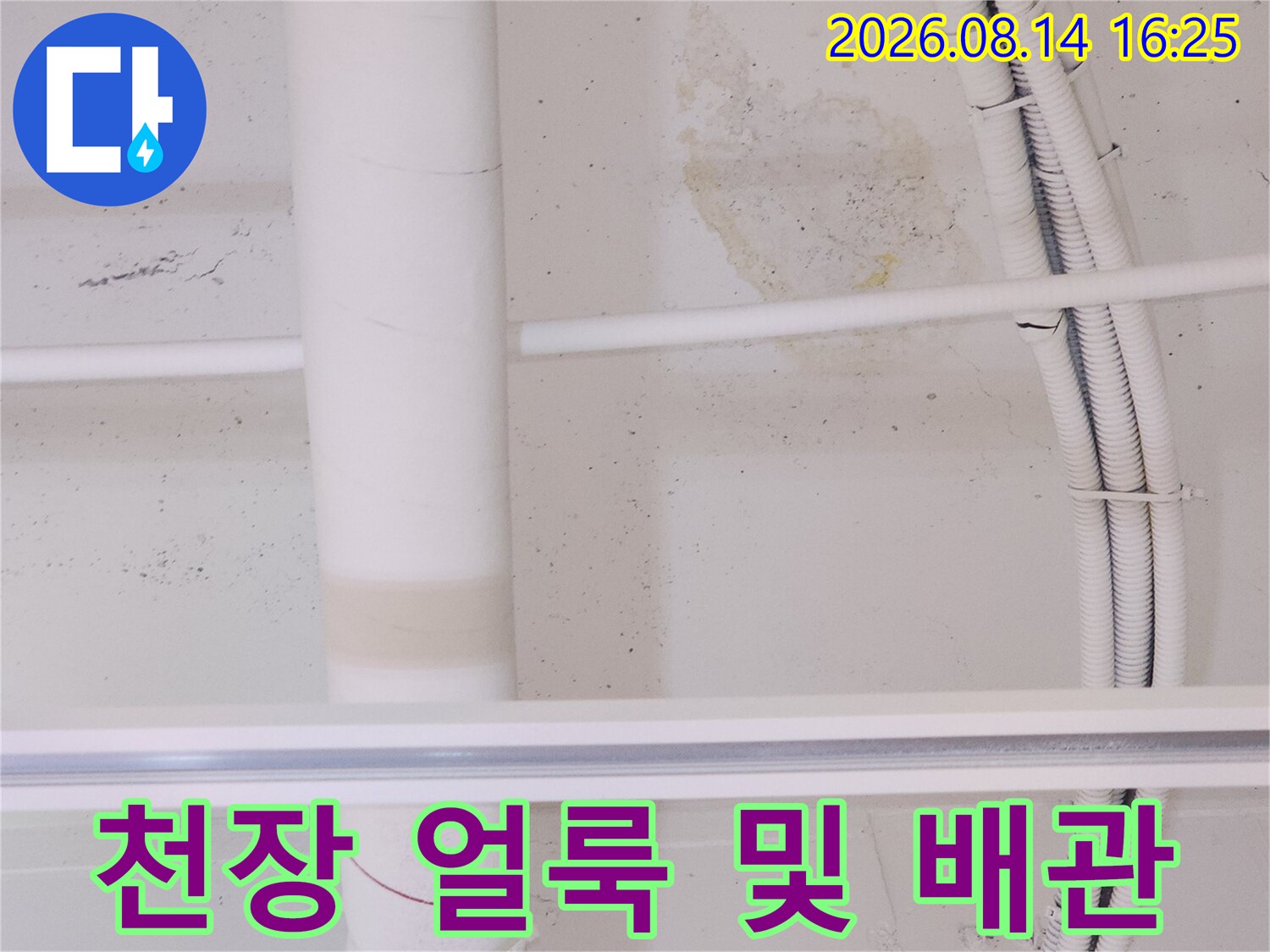 고양시 덕양구 상가 천장 배관 주변의 누수 흔적과 변색된 얼룩 상태