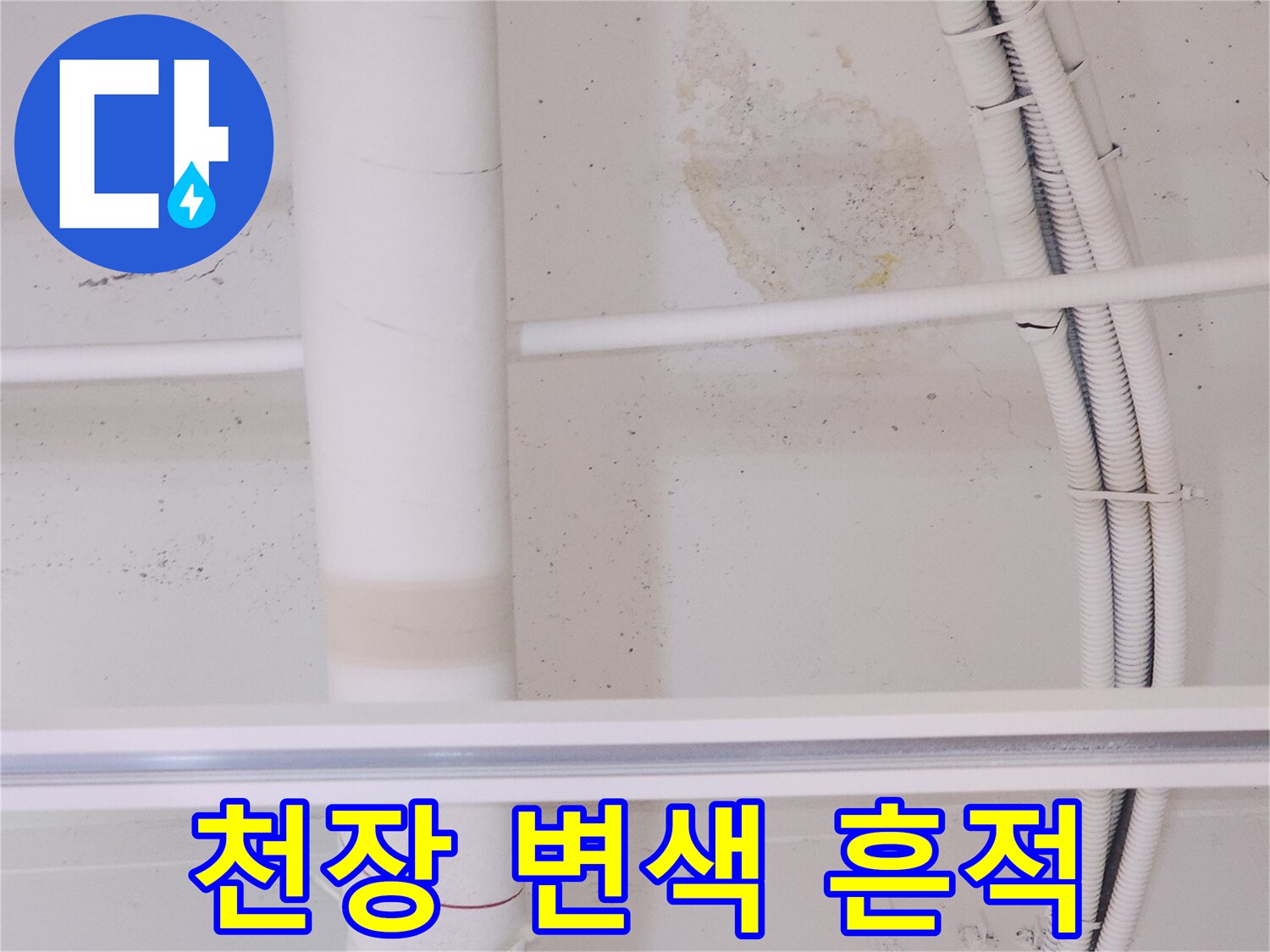 상가 천장의 누수 증상-갈색 변색과 습기 확인
