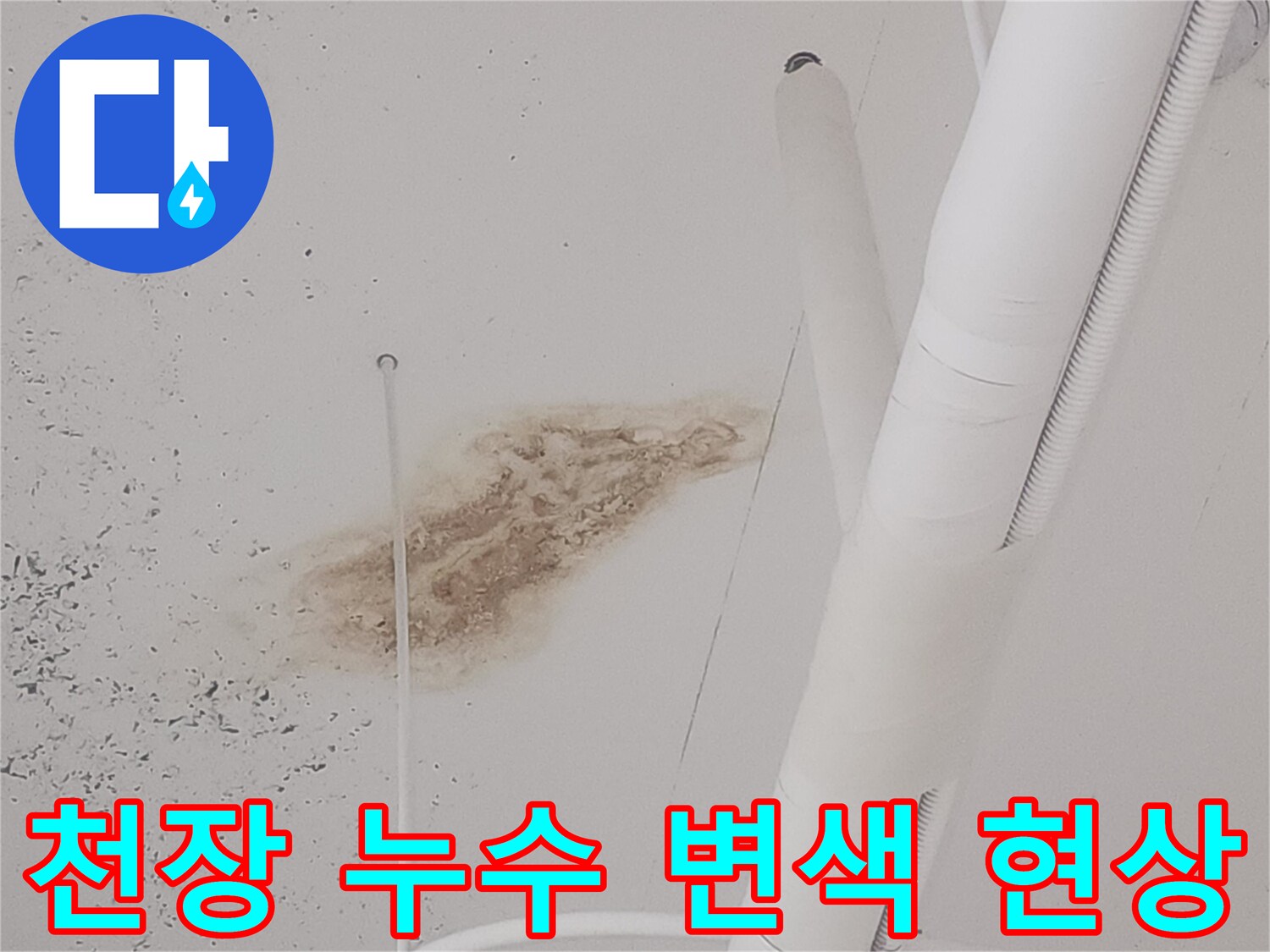 식당 아래층-배관 주변에 나타난 갈색 물샘 얼룩과 습기