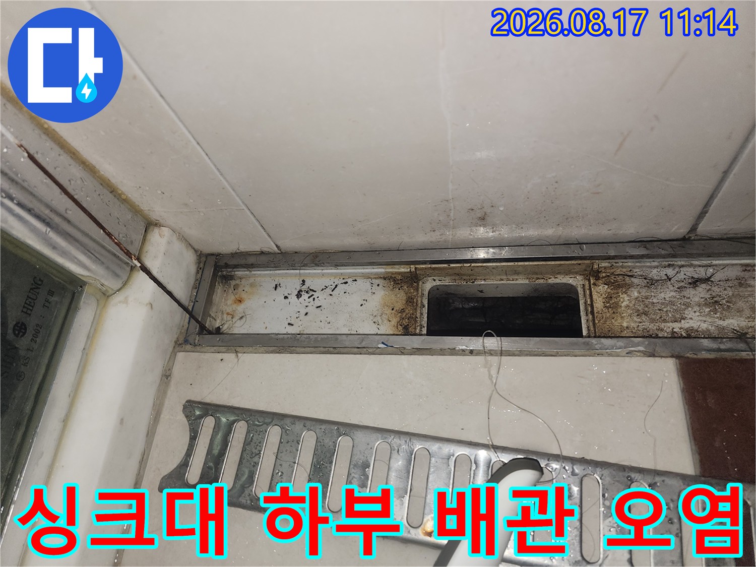 배관 연결 부위의 습기와 곰팡이가 발생한 싱크대 내부 모습