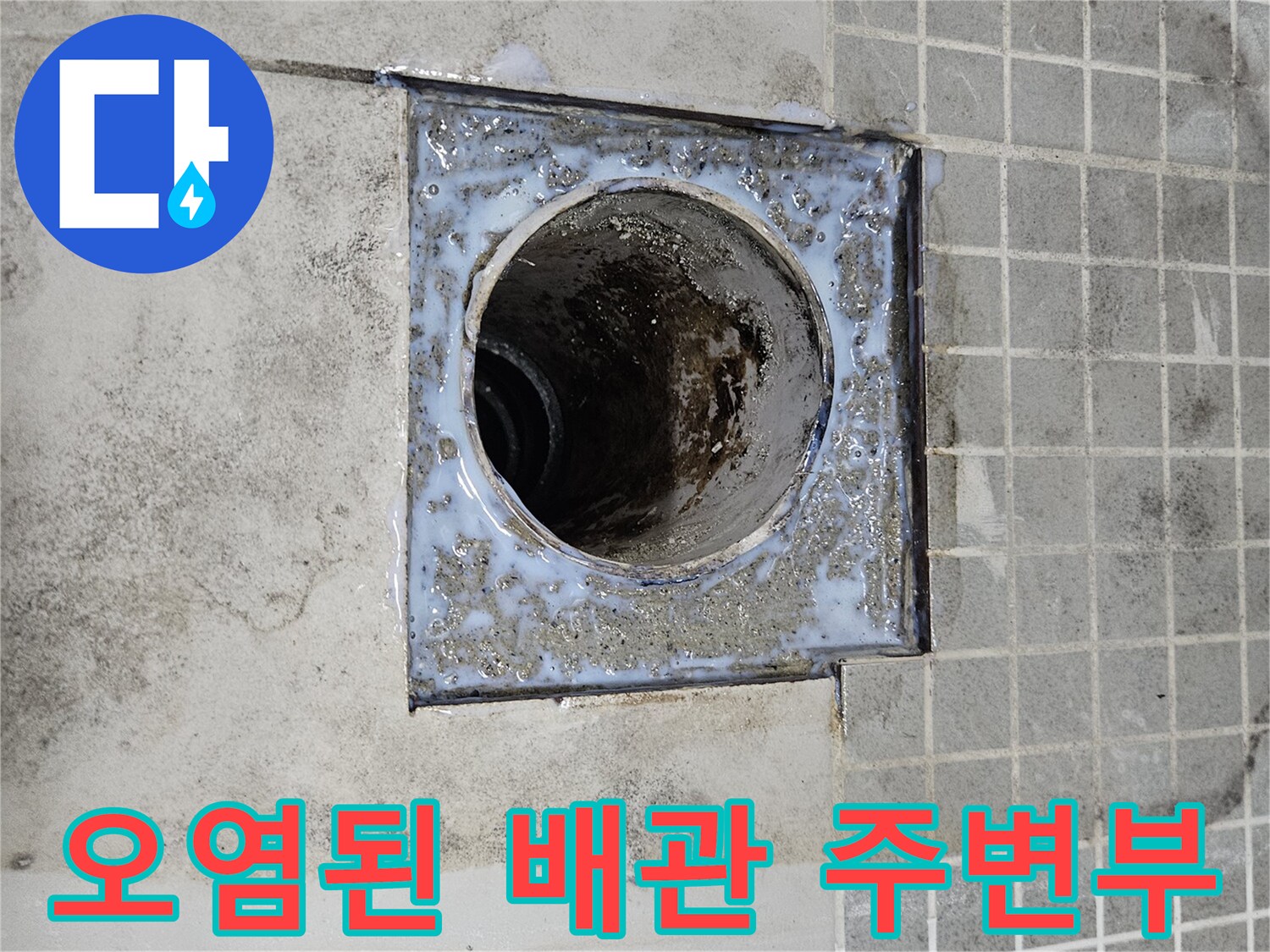 양주 옥정동-배수구 탈거 후 드러난 오염된 배관 주위