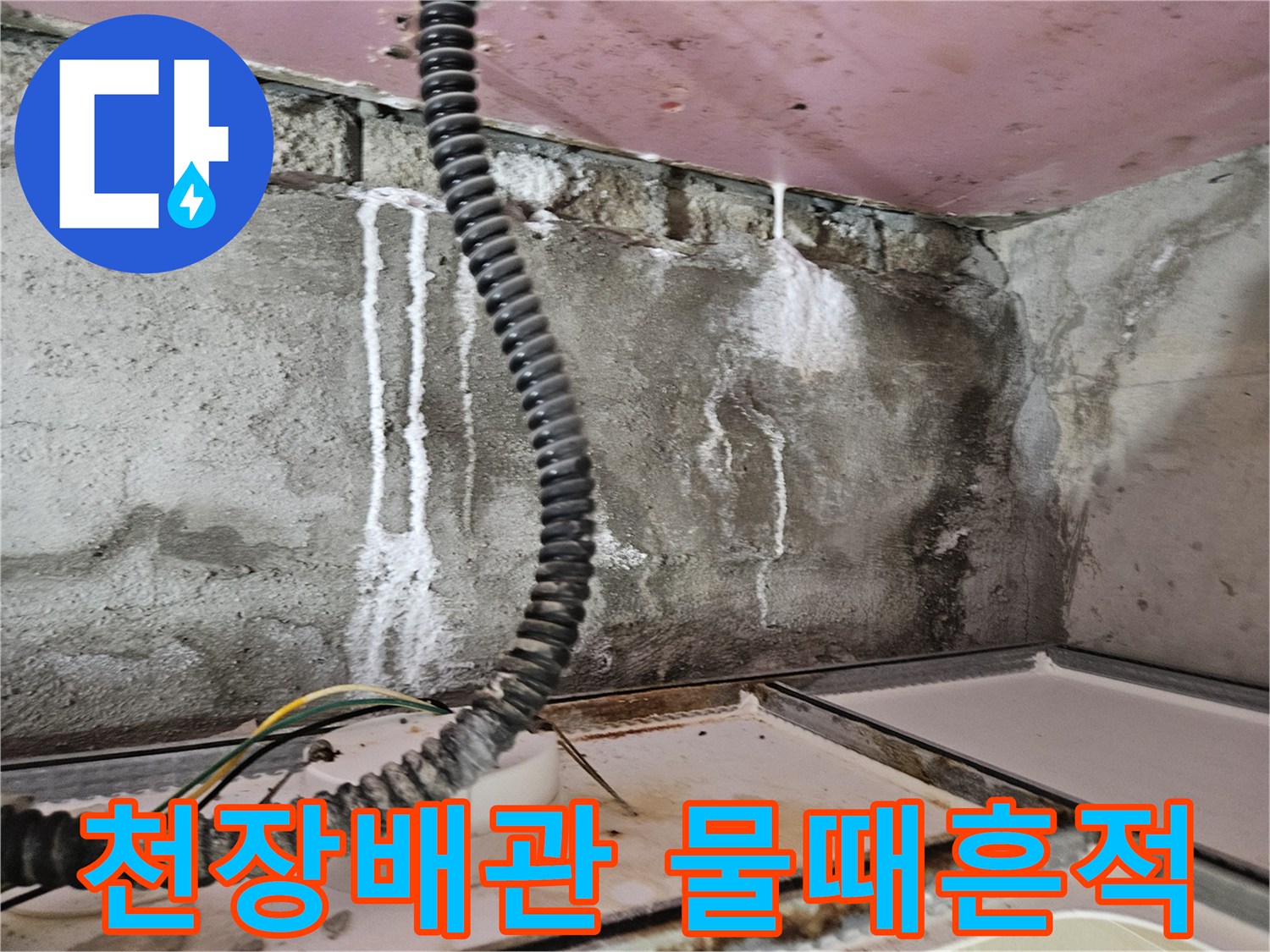 양주 옥정동 현장-천장 배관 주변의 흰색 물때와 얼룩 상태