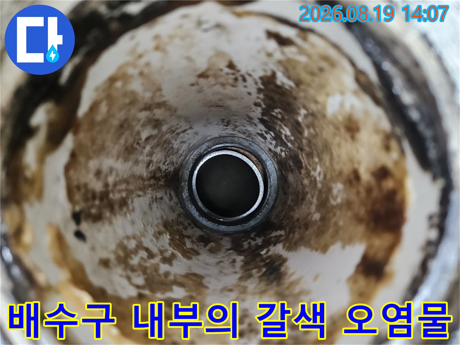 오염된 배수구 벽면과 중앙 배관 구조를 촬영한 사진입니다.