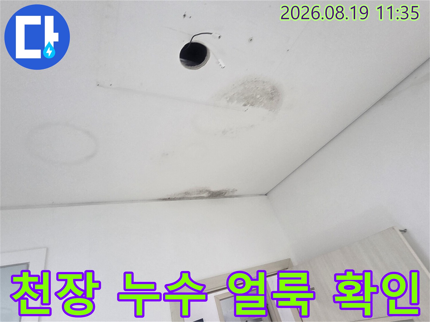 경기 광주 초월읍 천장 조명 주변의 곰팡이와 변색된 얼룩 상태