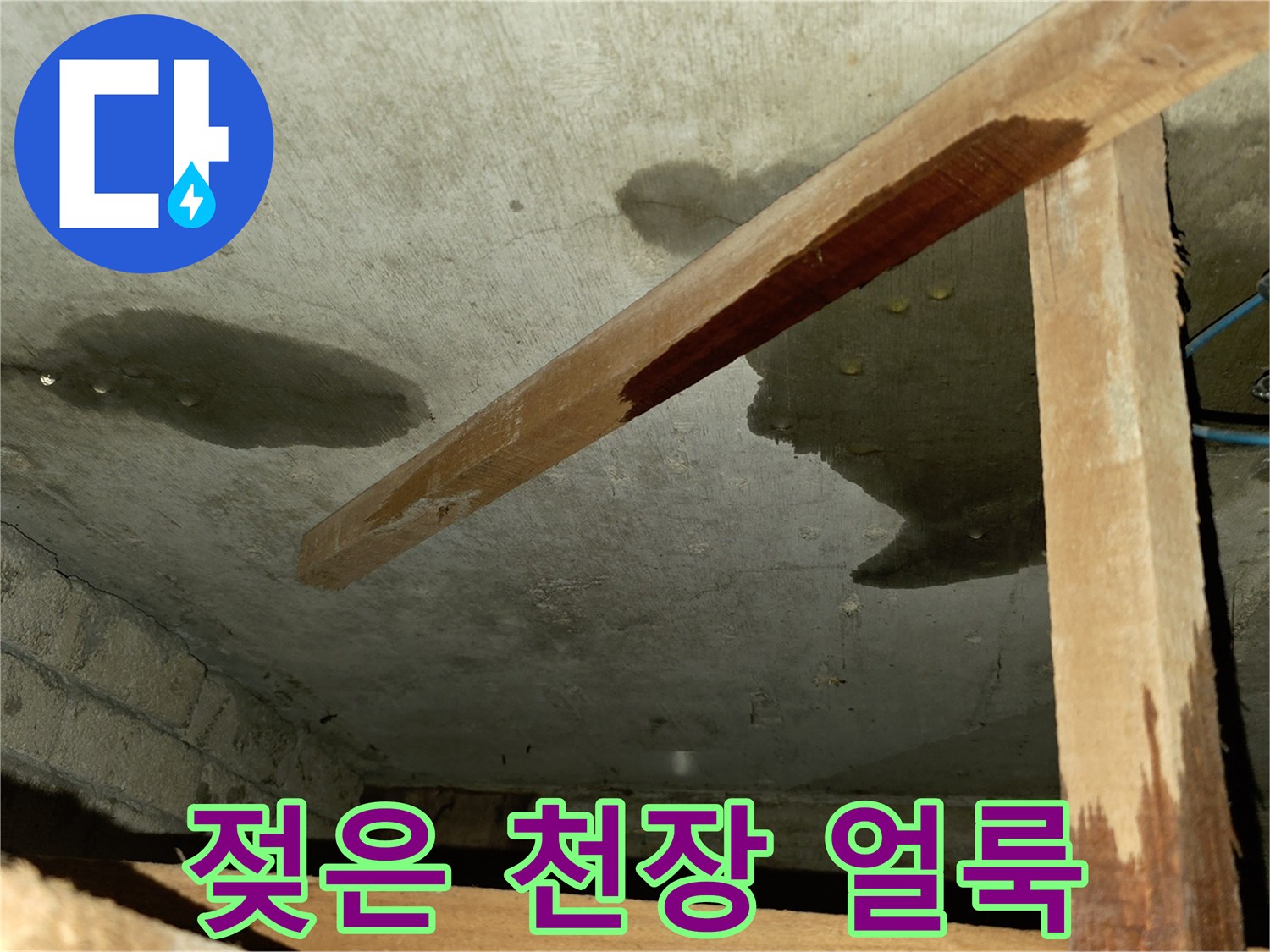 누수가 진행된 천장 콘크리트의 변색 부위