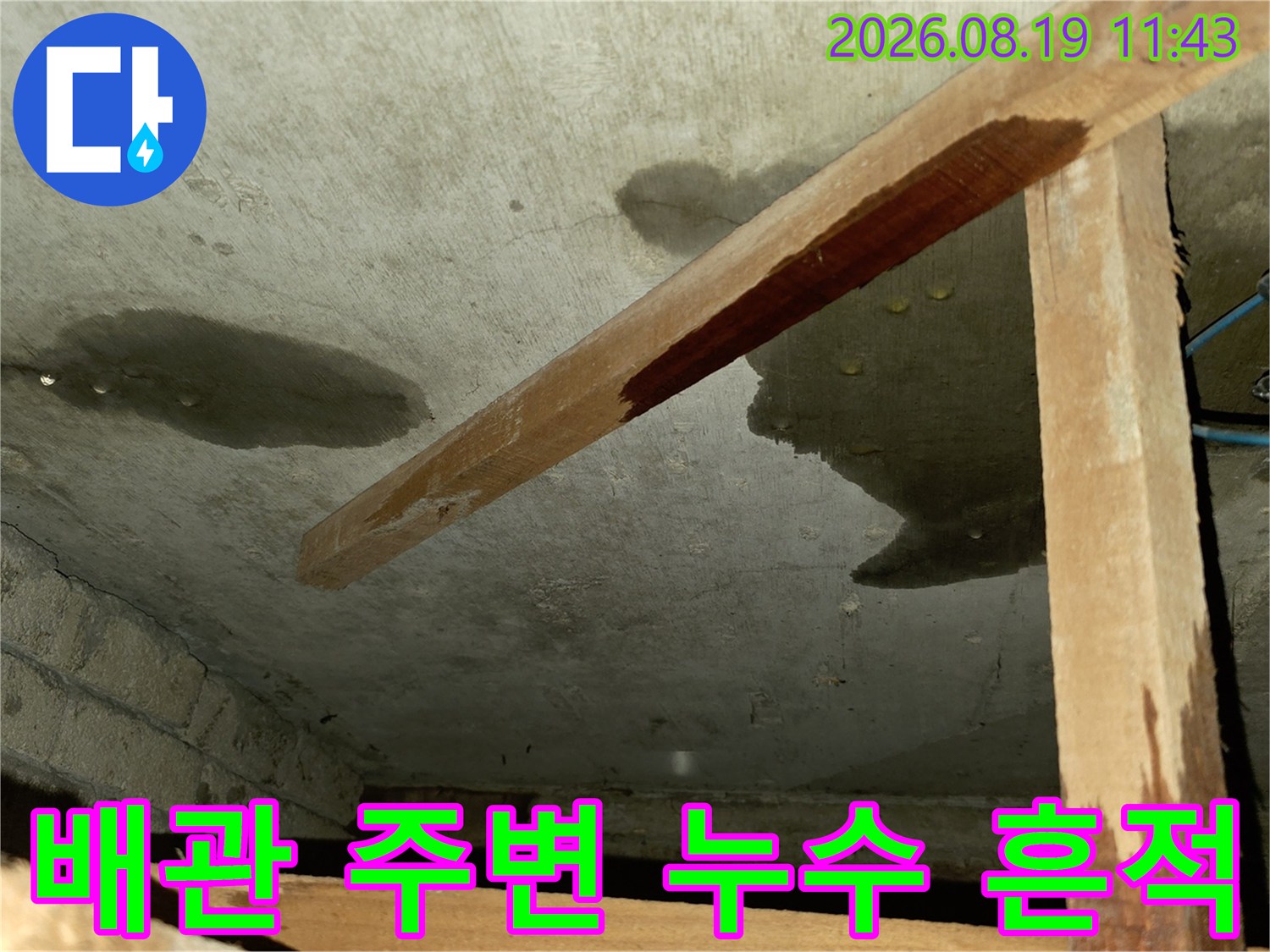 배관 근처 천장 콘크리트의 젖은 부위와 얼룩