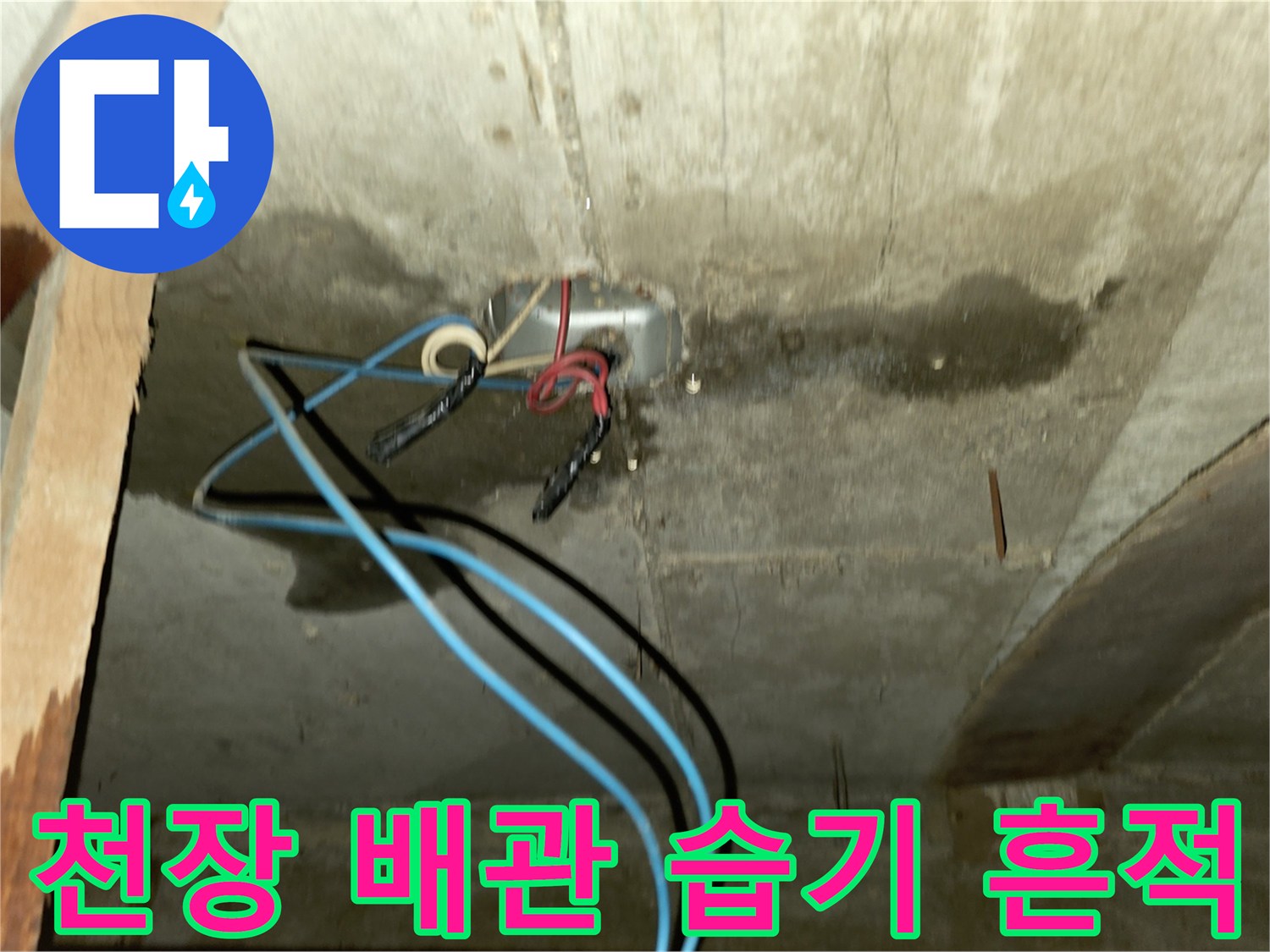 포천 신읍동 현장 - 화장실 천장 배관 주변의 젖은 흔적과 습기 상태