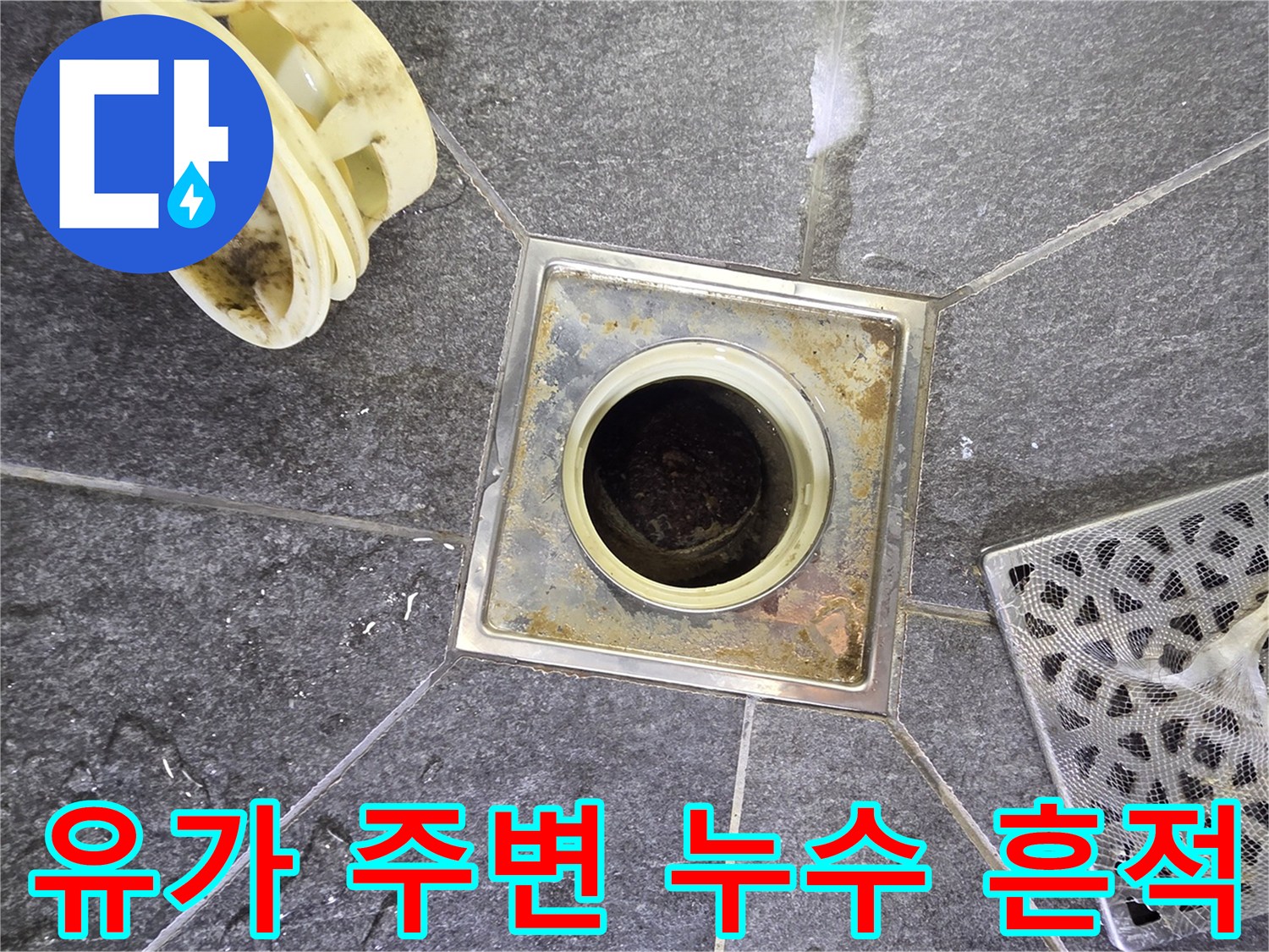 배수구-주변-타일-사이의-물때와-습기-상태