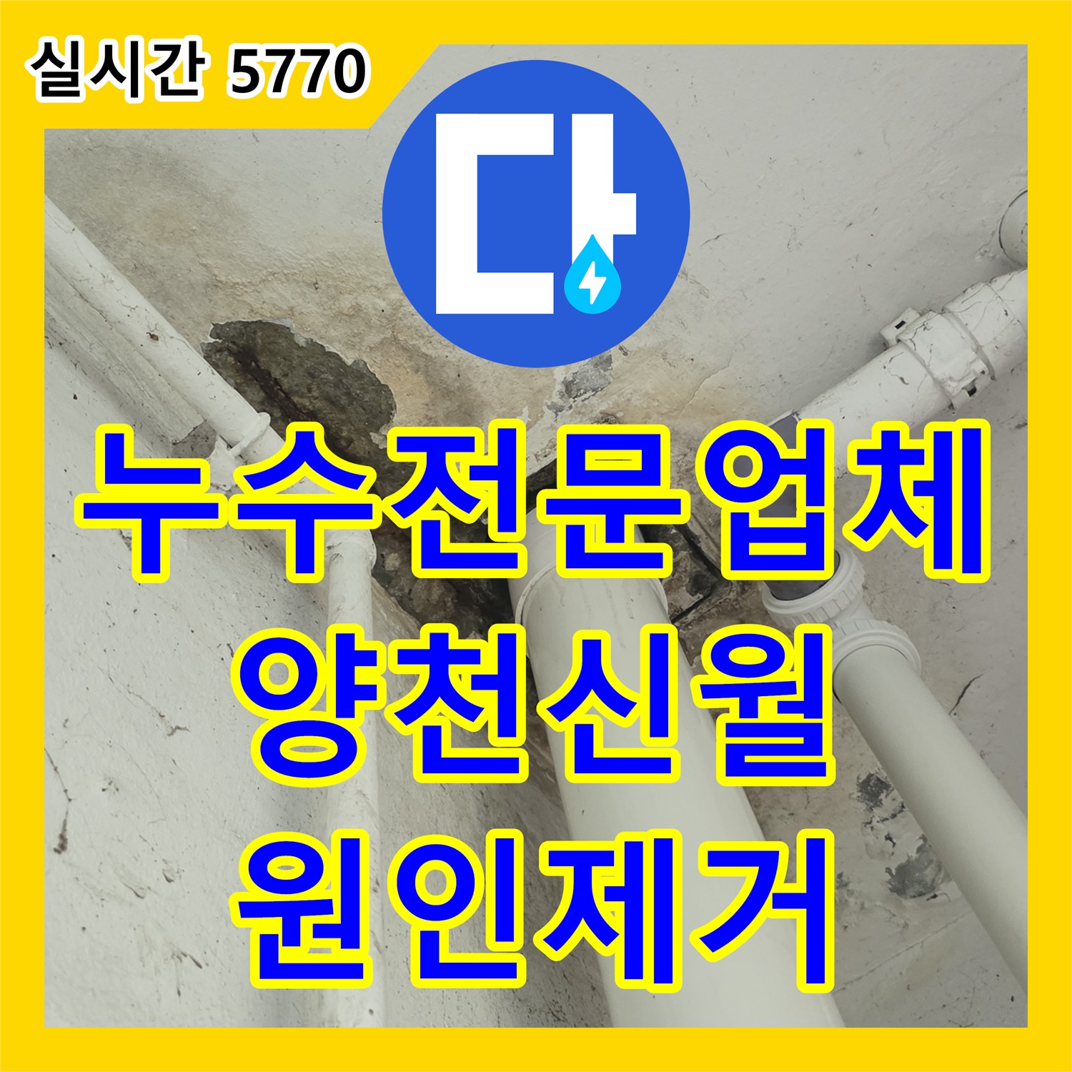 누수전문업체 PVC 파이프 교체 후에도 재발한 하수 배관 누수 원인을 찾아 해결한 서울 양천구 신월동