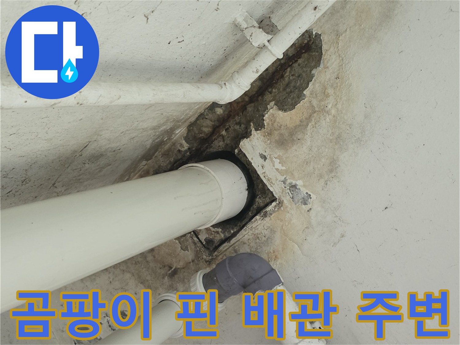 배관 슬리브 주변의 습기로 인한 곰팡이 및 도장 손상