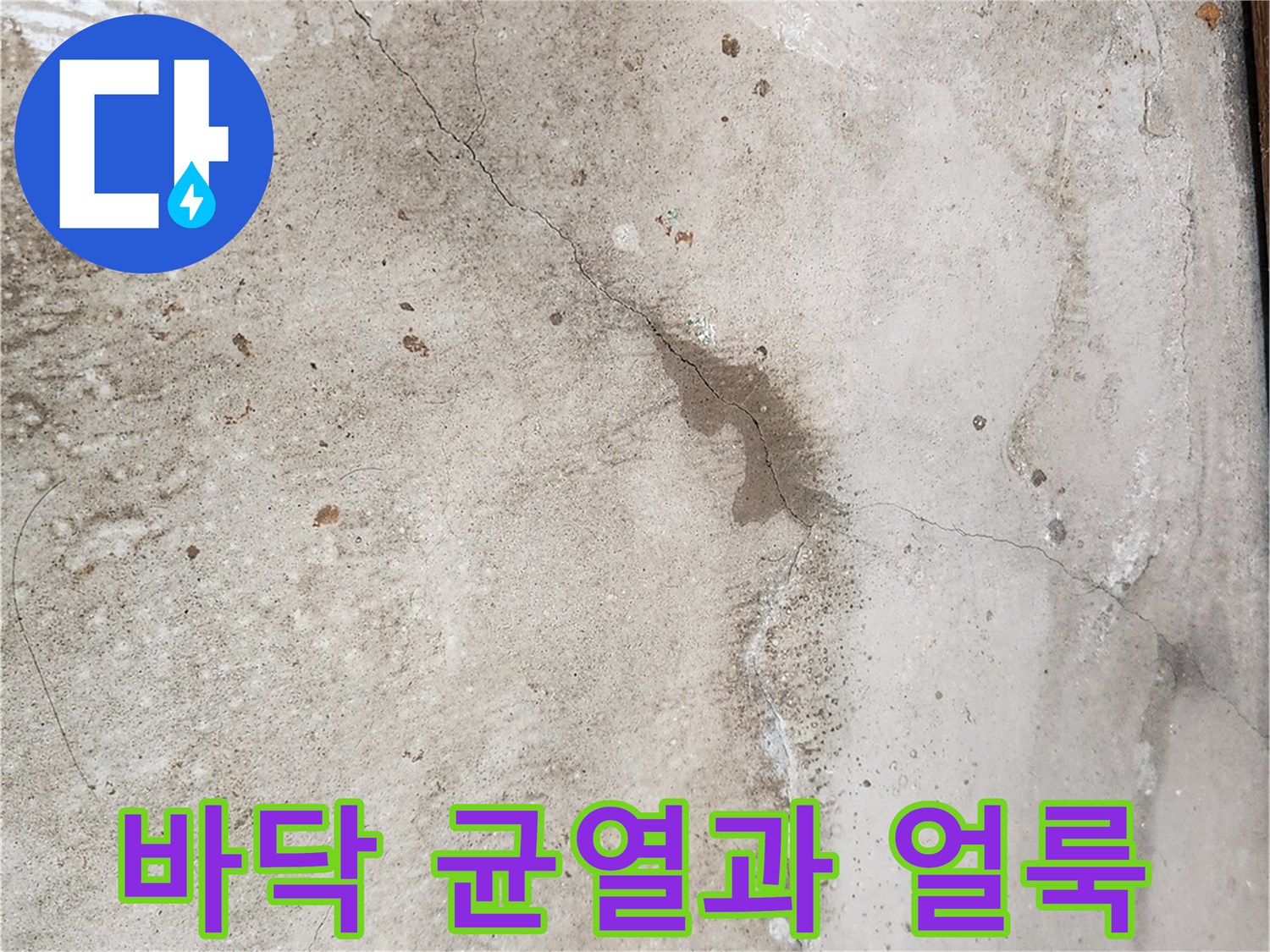 덕양구 현장-물기가 스며든 바닥의 균열 부위 상세 사진