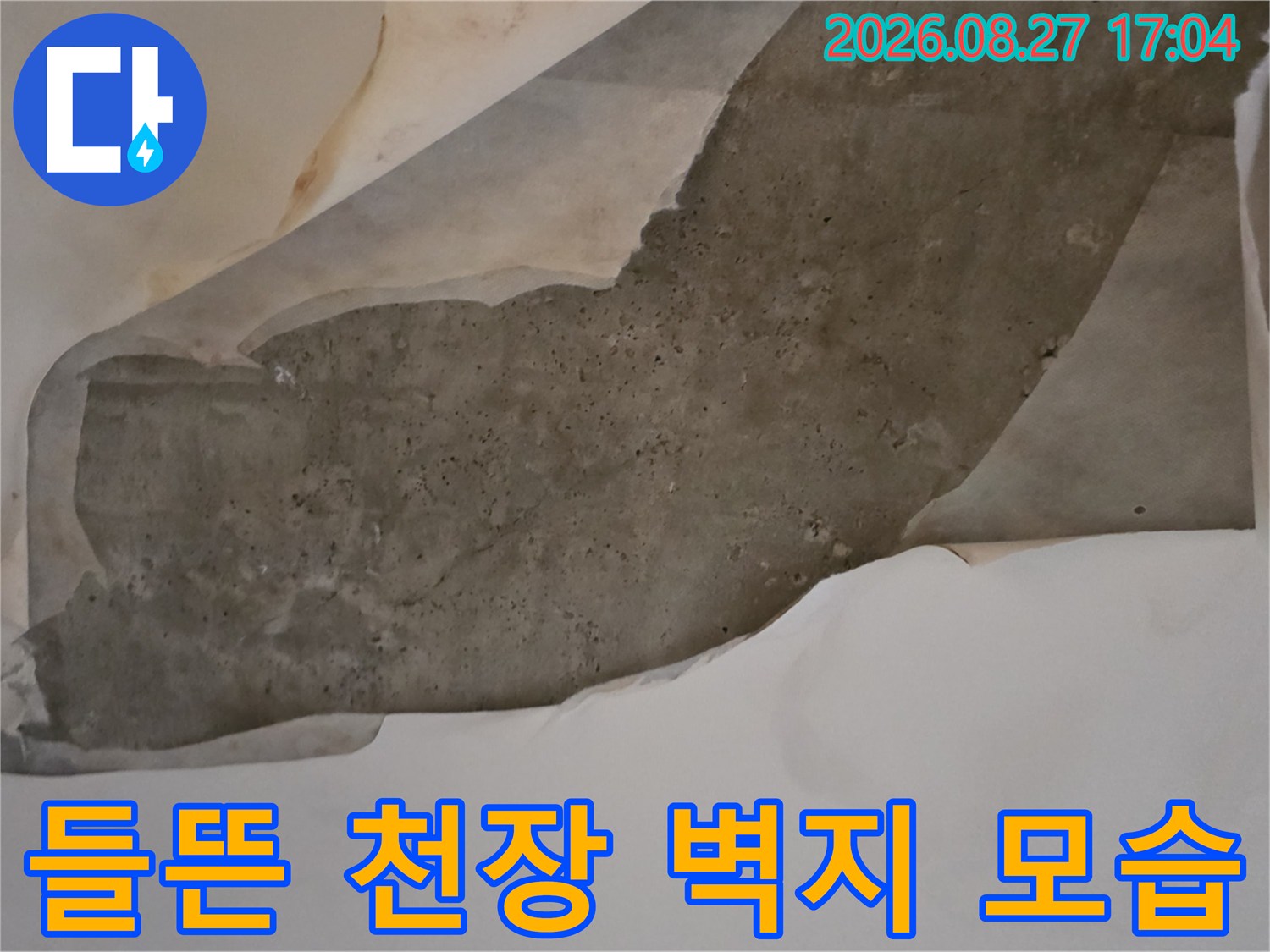 누수로 인해 젖고 들뜬-천장 도배지 상세 사진