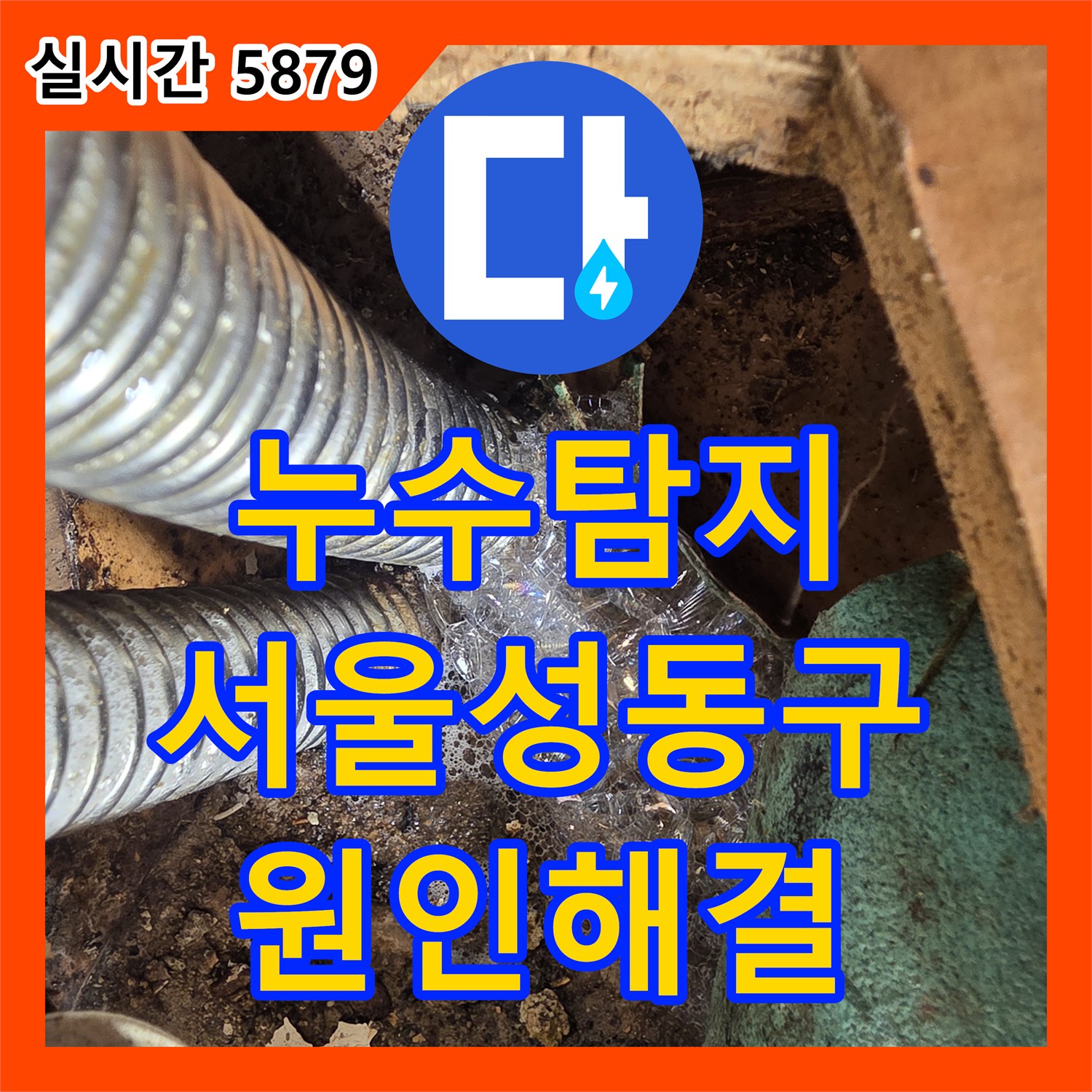 누수탐지 아랫집 거실 천장 곰팡이 재발 원인을 싱크대 하부 배관에서 찾아 보수한 사례 서울 성동구 응봉동
