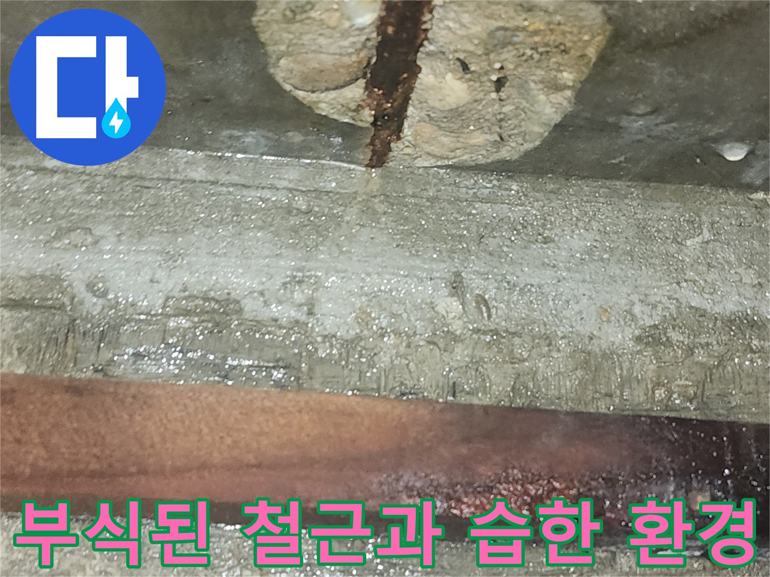 비트-내부의-젖은-벽면과-녹슨-철근-모습