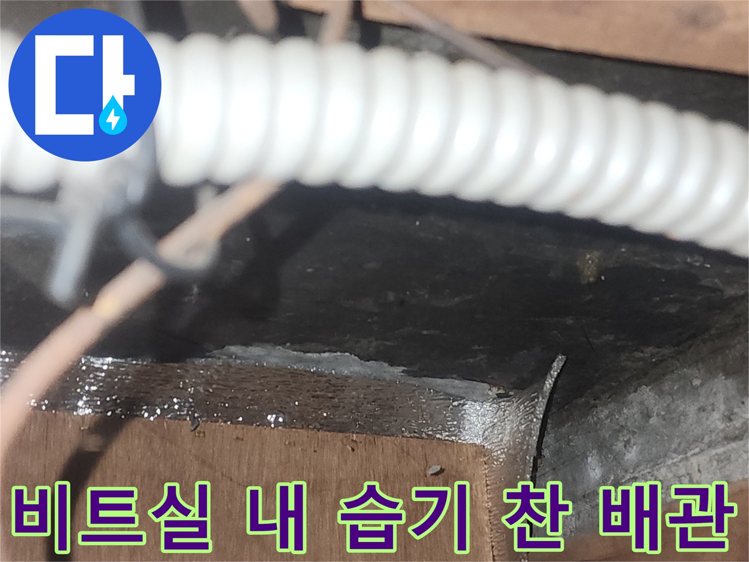 습기가-스며든-배관-및-목재-지지대-상태