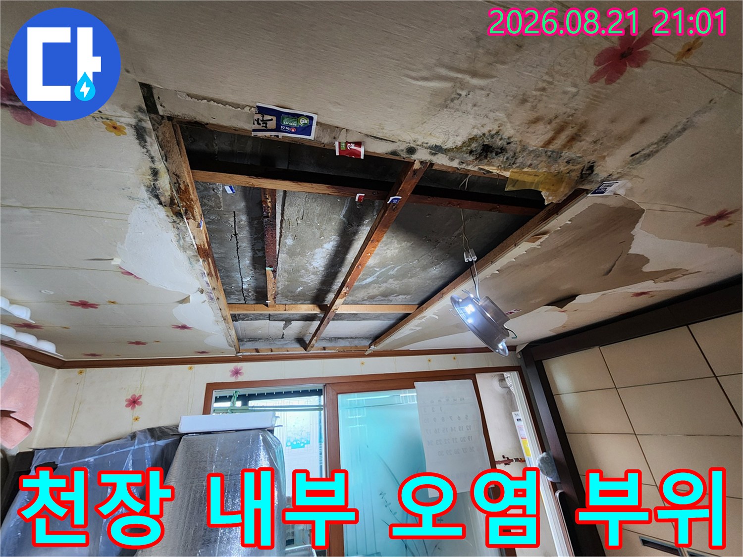 곰팡이와 물자국으로 오염된 천장 구조물 상세