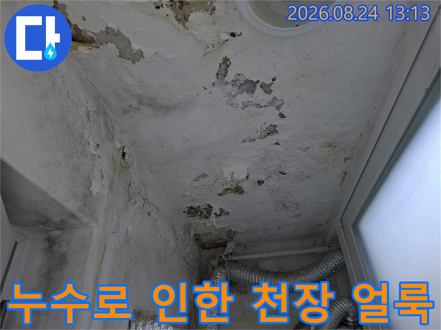 주방 천장의 넓은 물자국과 곰팡이 오염 부위 촬영