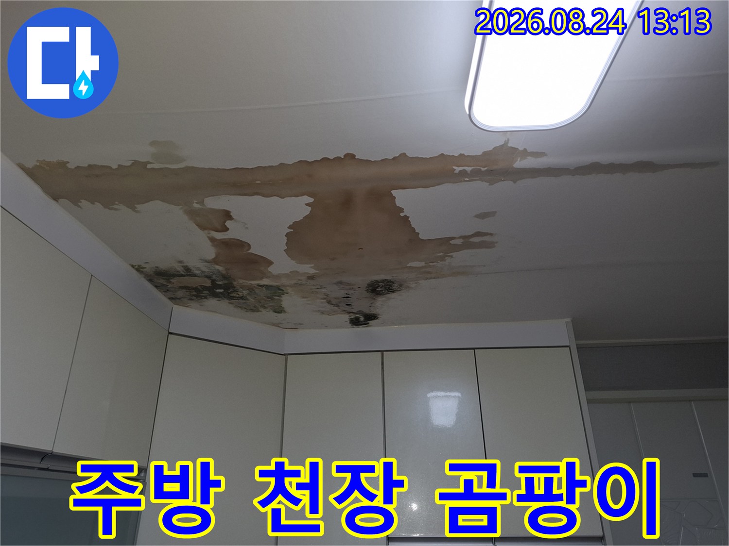 천장 가장자리에 발생한 누수 흔적과 검은 곰팡이 부위