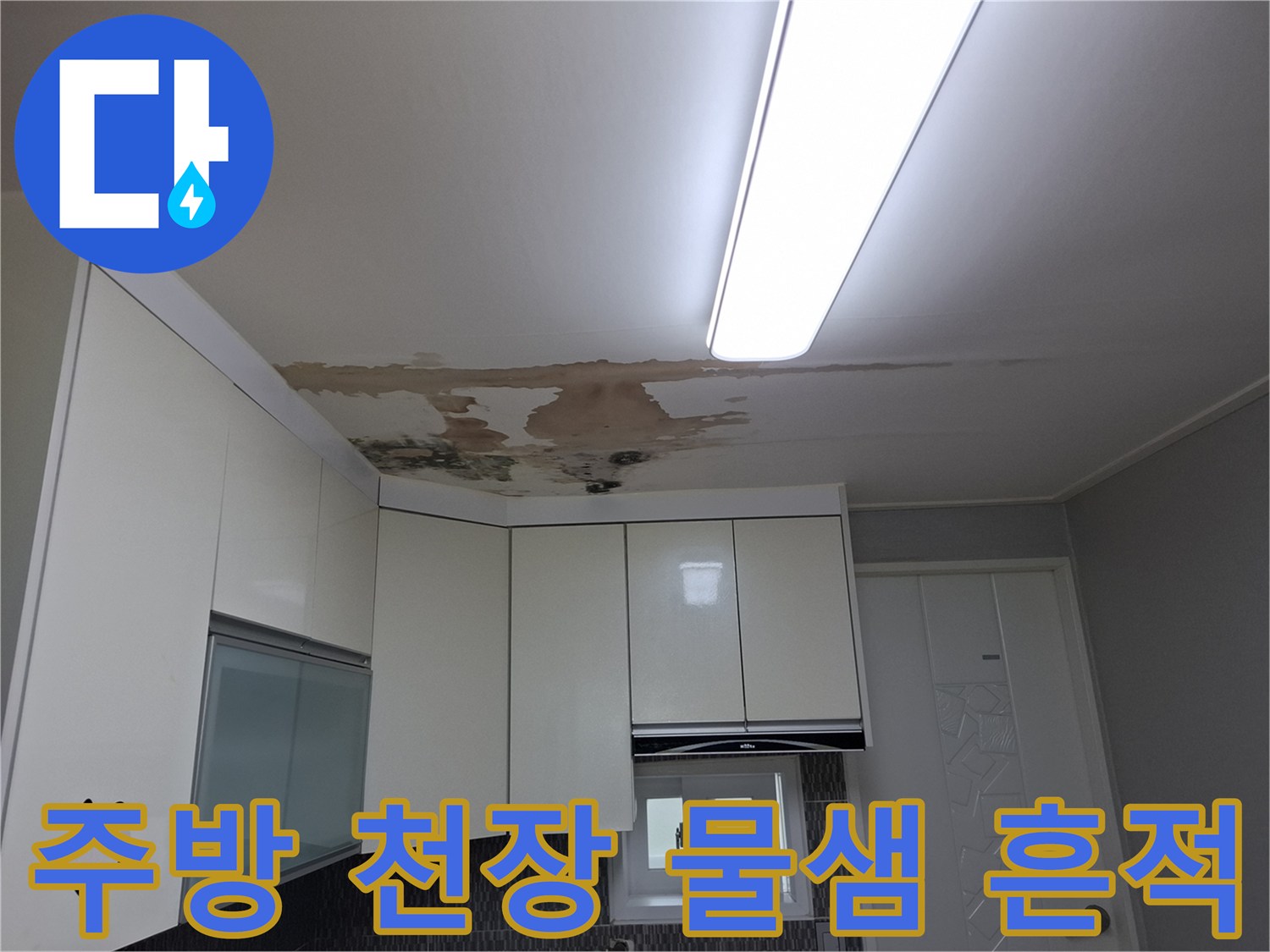 천장 마감재의 젖은 자국과 변색 부위 상세 사진