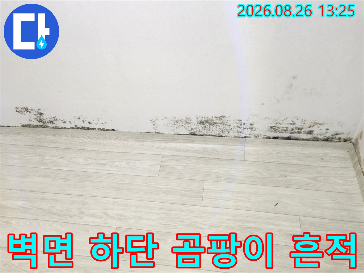 남양주 진접읍 주택의 벽지와 바닥 접촉면에 발생한 검은색 곰팡이 상태