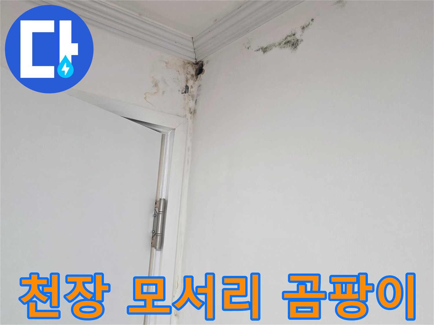 천장 구석 부분에 발생한 검은색 곰팡이와 오염된 벽지