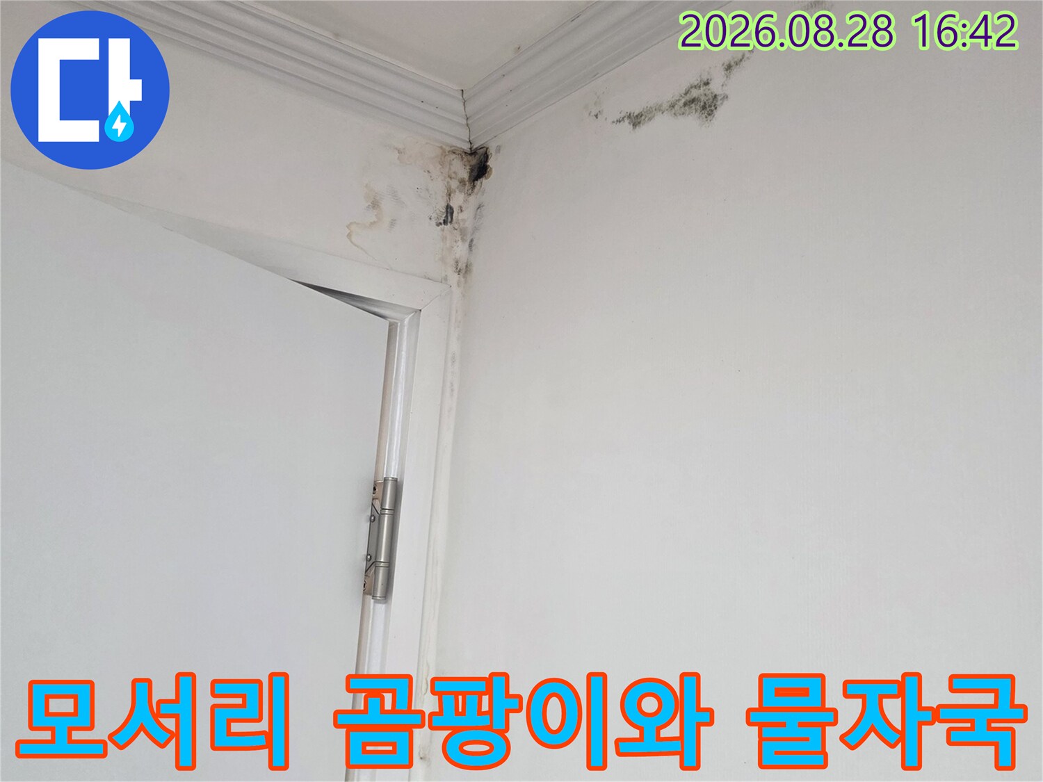 흰색 천장에 나타난 검은 곰팡이와 습기로 인한 얼룩 부위