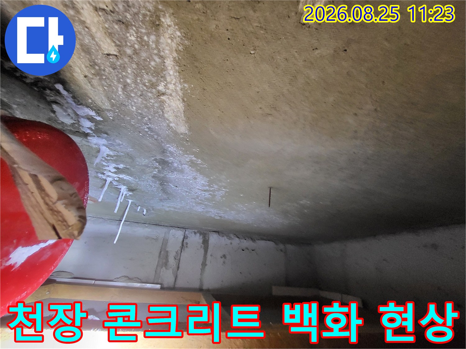 하얗게 굳은 석회물과 물이 스며든 천장 콘크리트 표면 사진
