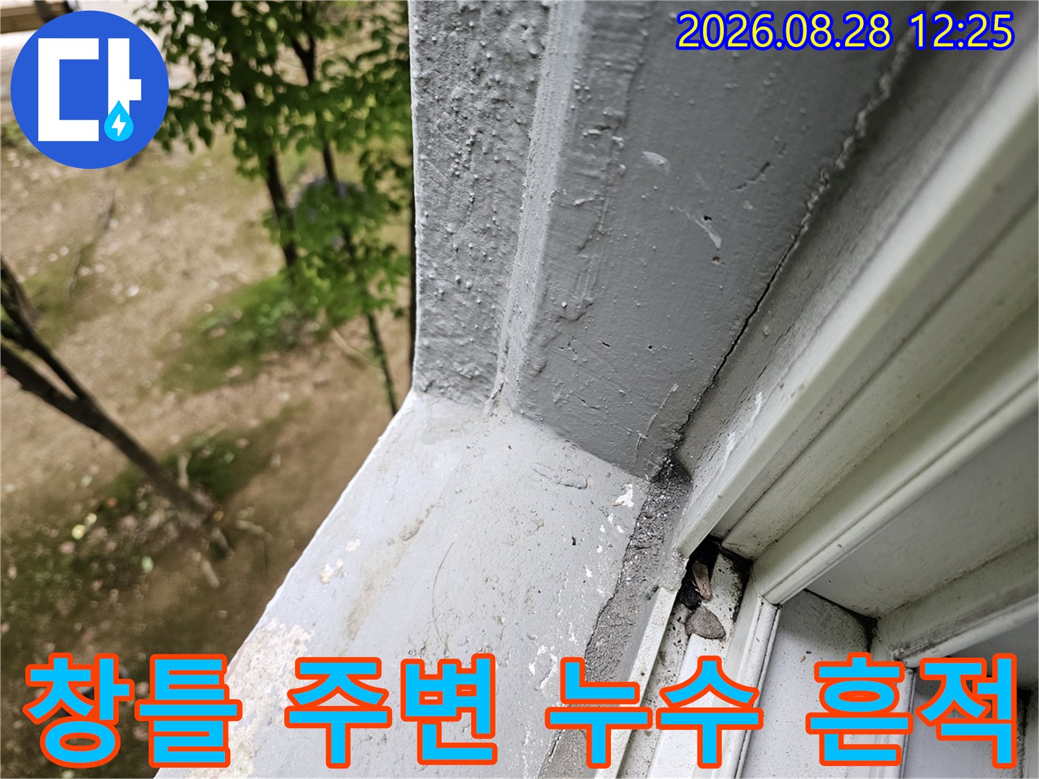 안양 비산동 현장의 창틀 실리콘 및 마감재 상태 점검 사진