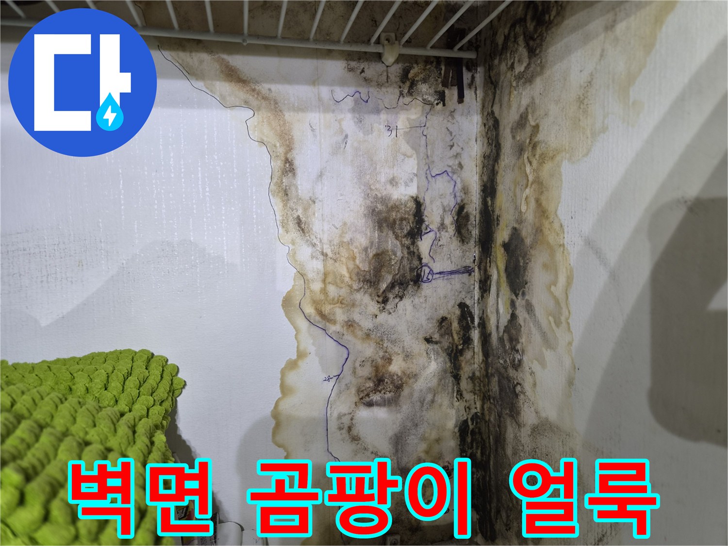 구로구 오류동 현장의 - 젖은 벽지와 곰팡이가 발생한 모습입니다