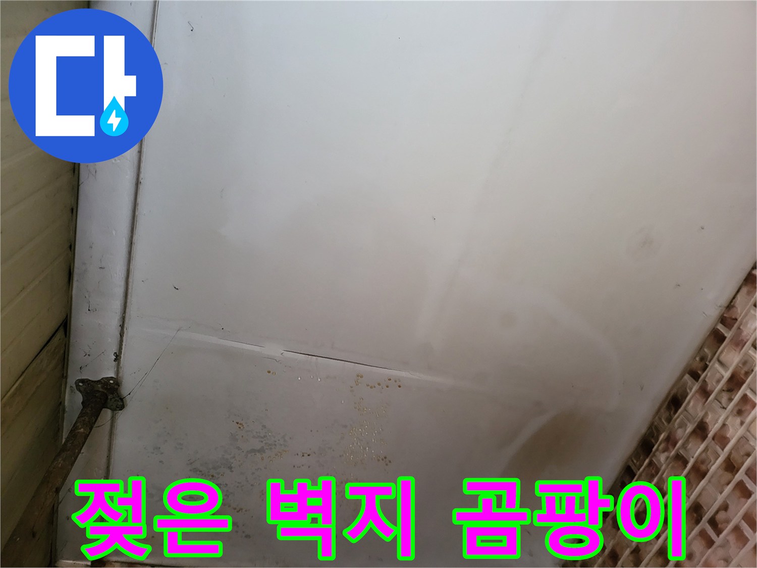 보령 남포면 현장-천장 얼룩과 곰팡이가 퍼진 상태