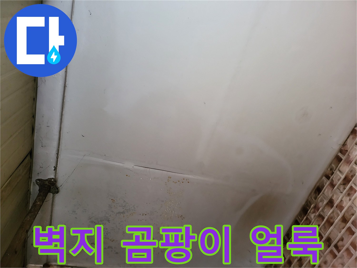 습기로 인해 발생한-천장 부위의 곰팡이와 변색 흔적