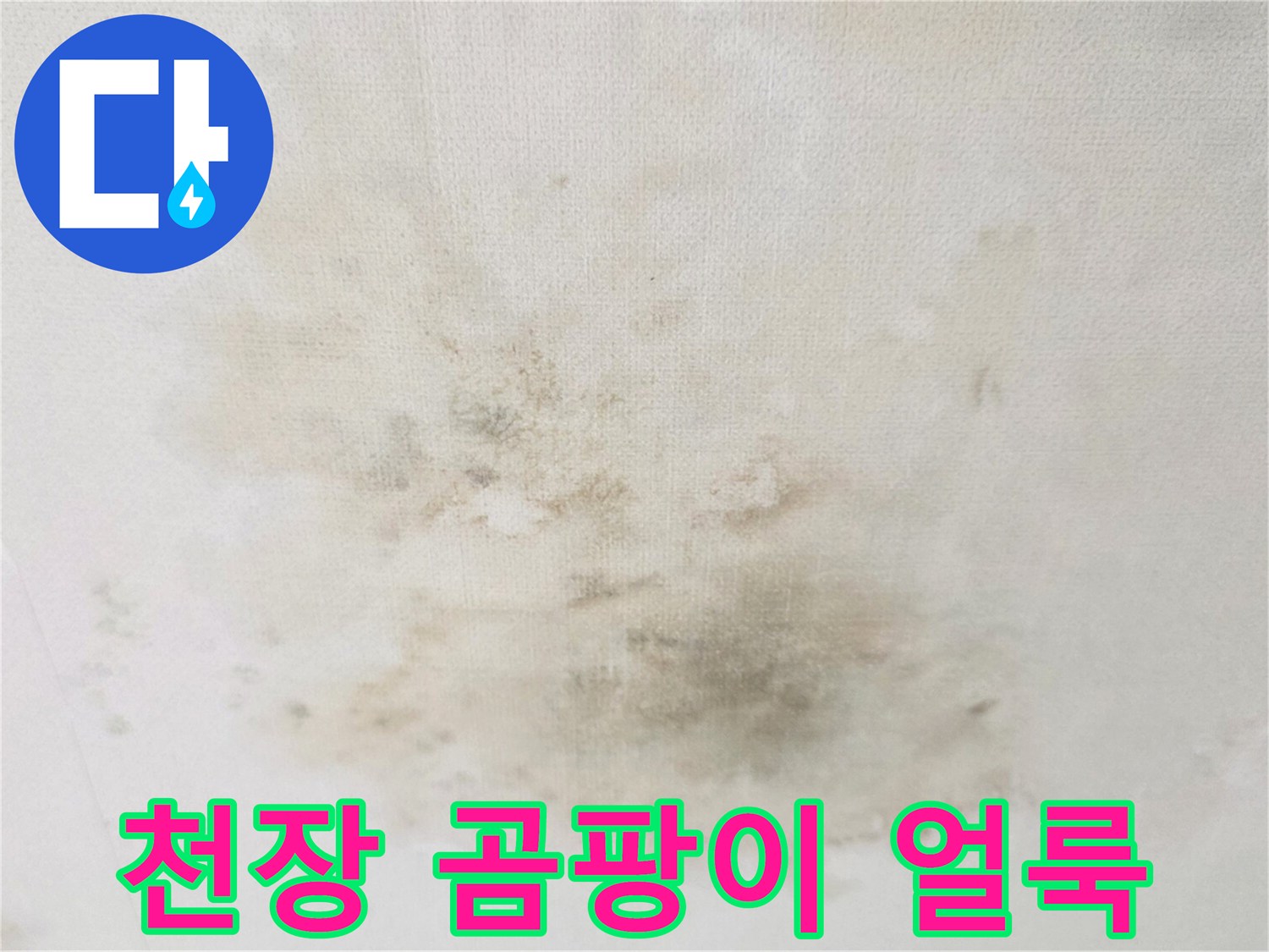 거실-천장에-발생한-광범위한-누수-얼룩-및-변색