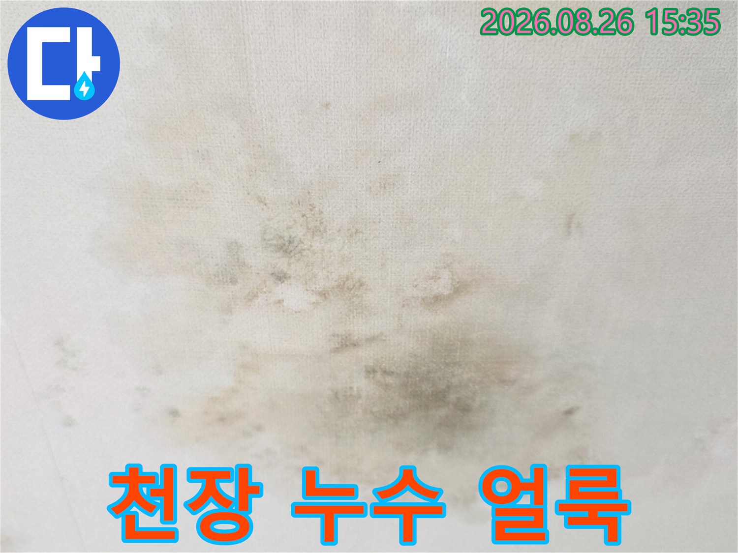 경기 광주 송정동 빌라 천장의 넓은 누수 흔적과 곰팡이 발생 상태