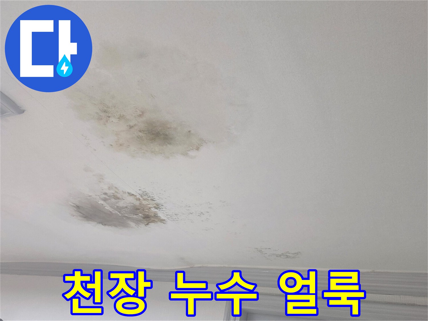 광주 송정동 - 젖어있는 천장 마감재와 곰패 발생 부위