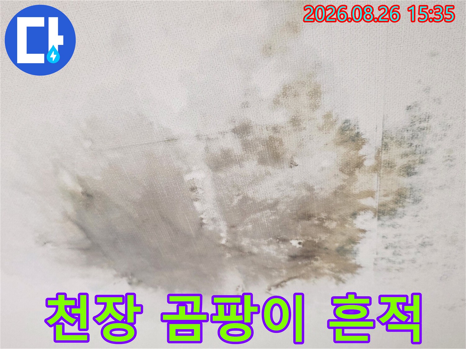 습기로 인해 천장 마감재에 발생한 넓은 범위의 곰팡이와 변색