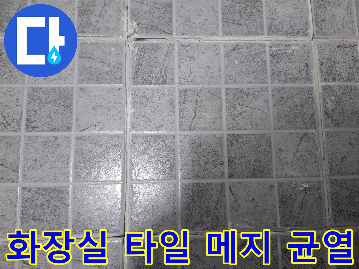 노후된 빌라 욕실 타일 사이의 갈라짐과 습기 유입 경로