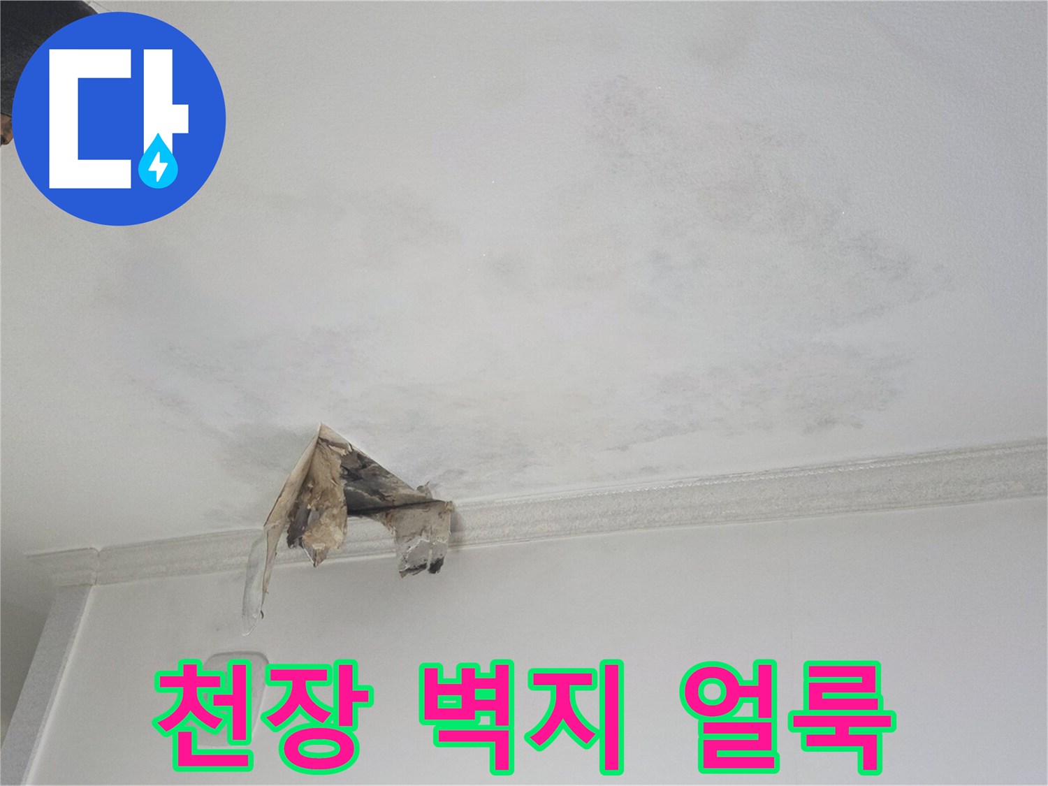 물샘으로 인해 변색된 천장 벽지와 곰팡이 흔적