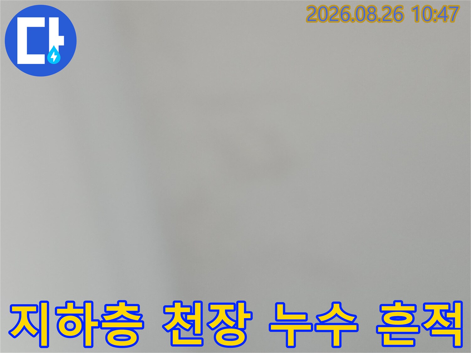 강북구 수유동 상가 지하층 천장의 누수 흔적 점검 이미지