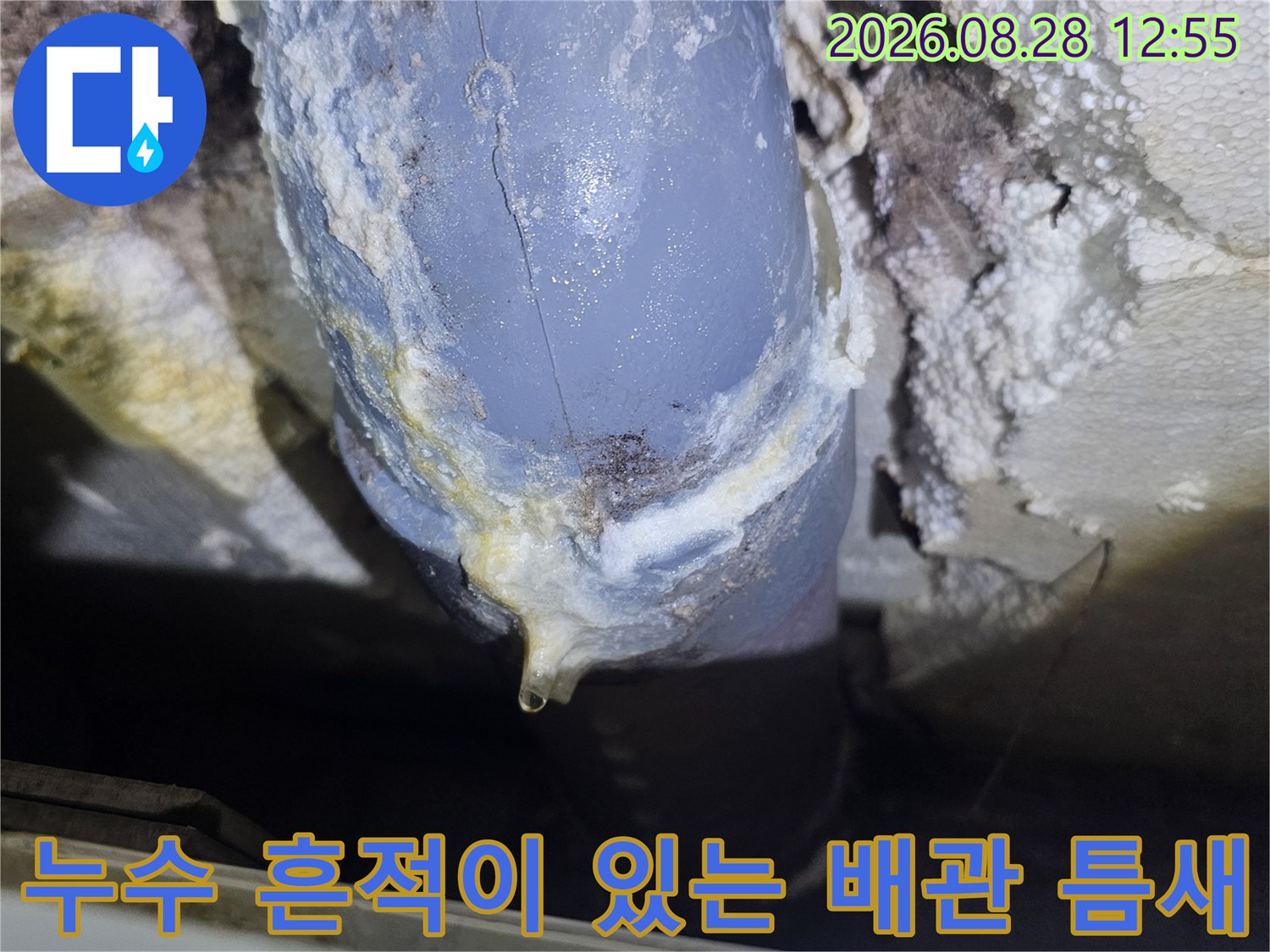 물샘 현상으로 인해 하얗게 변한 배수관 연결 부위의 모습