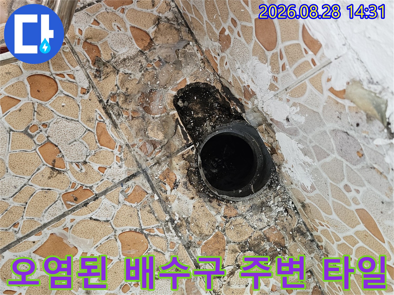 배수구 주변 타일 틈새에 검은 곰팡이가 피어있는 누수 현장 모습입니다.