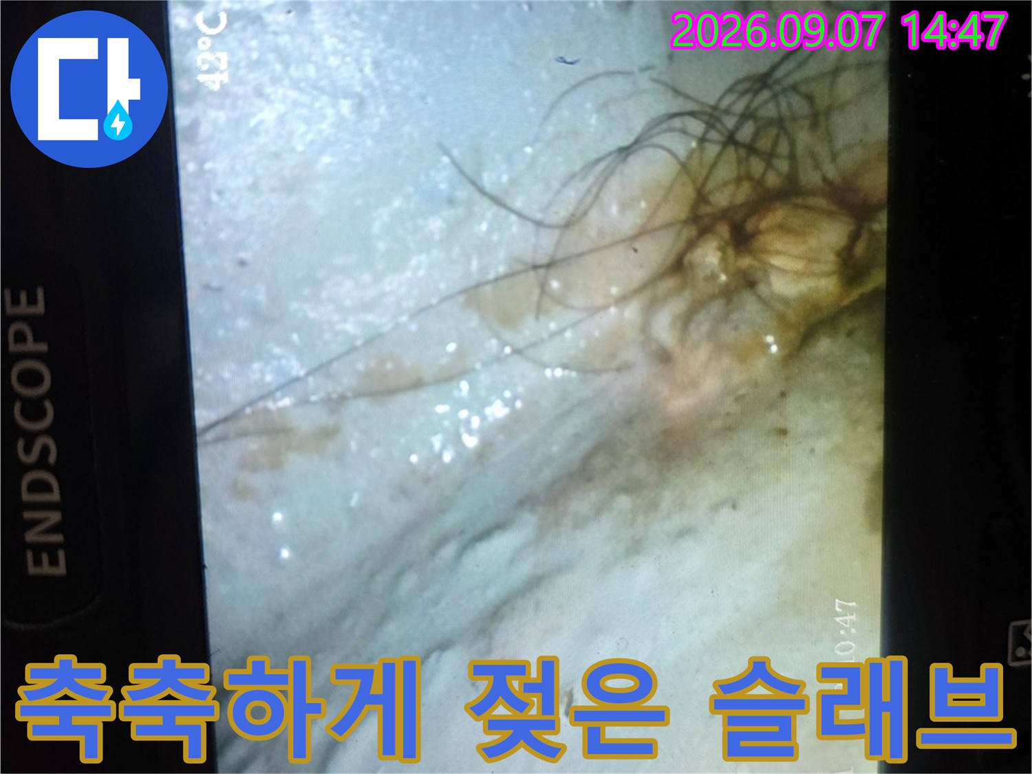 습기가 가득한-천장 콘크리트 슬래브 내부 모습